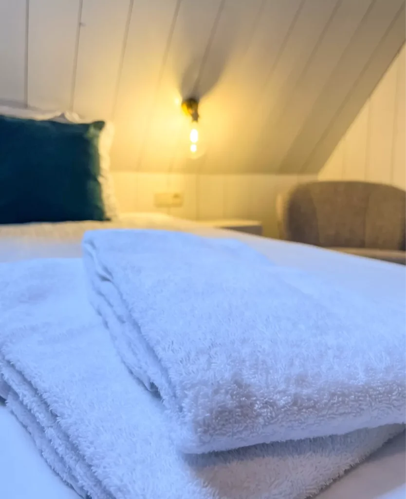 hoeve-vianen-texel-de-muy-12-personen-vakantiehuis16