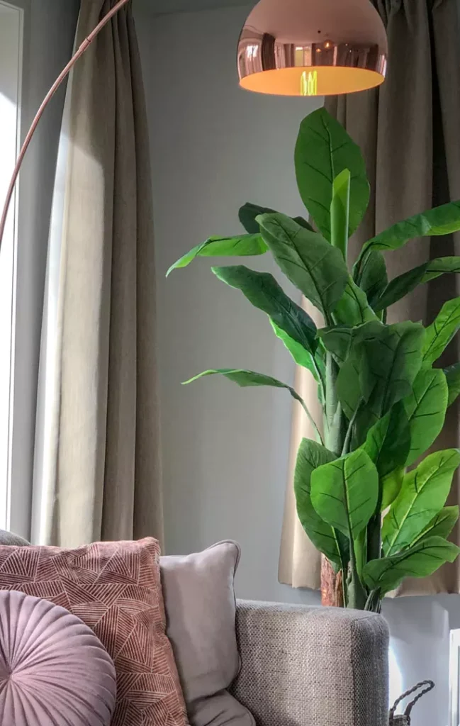 hoeve-vianen-texel-vakantiehuis-de-vuurtoren22 hoeve-vianen-texel-vakantiehuis-de-vuurtoren