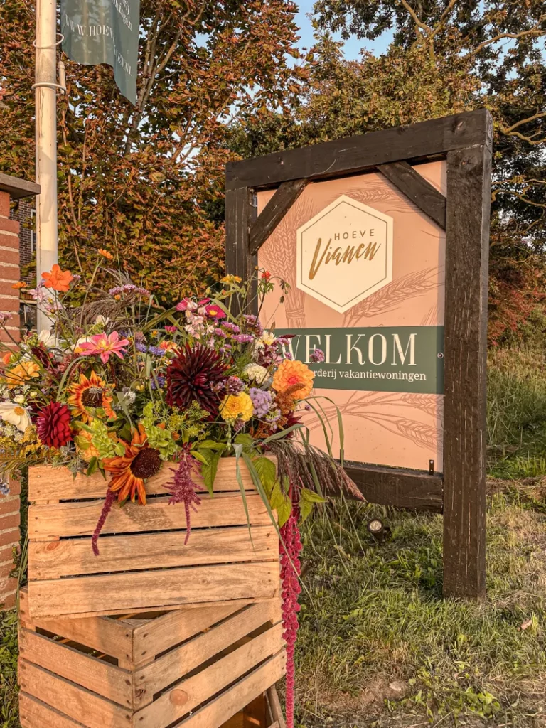 trouwlocatie-texel-hoeve-vianen5 trouwlocatie-texel-hoeve-vianen